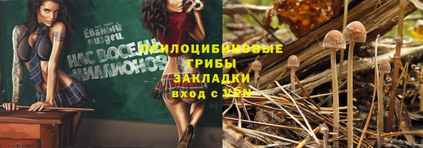 индика Навашино