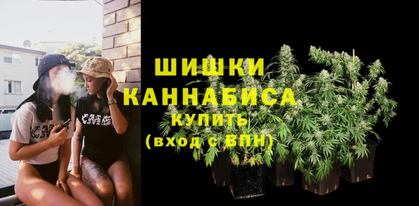 PSILOCYBIN Новозыбков