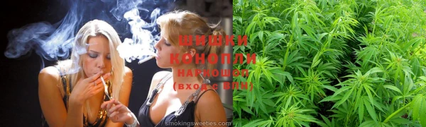 индика Навашино